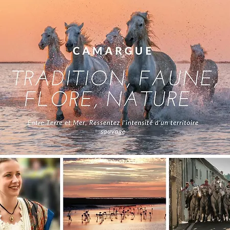 Appartamento Près De La *